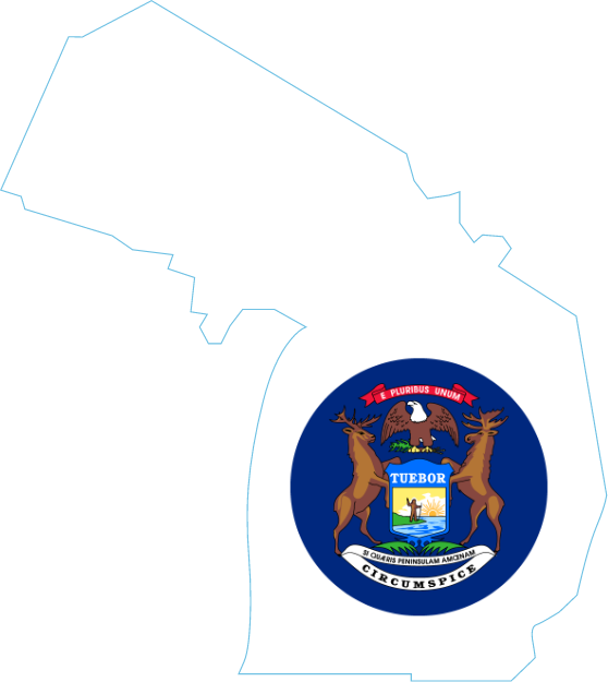 Medical Billing services in Michigan