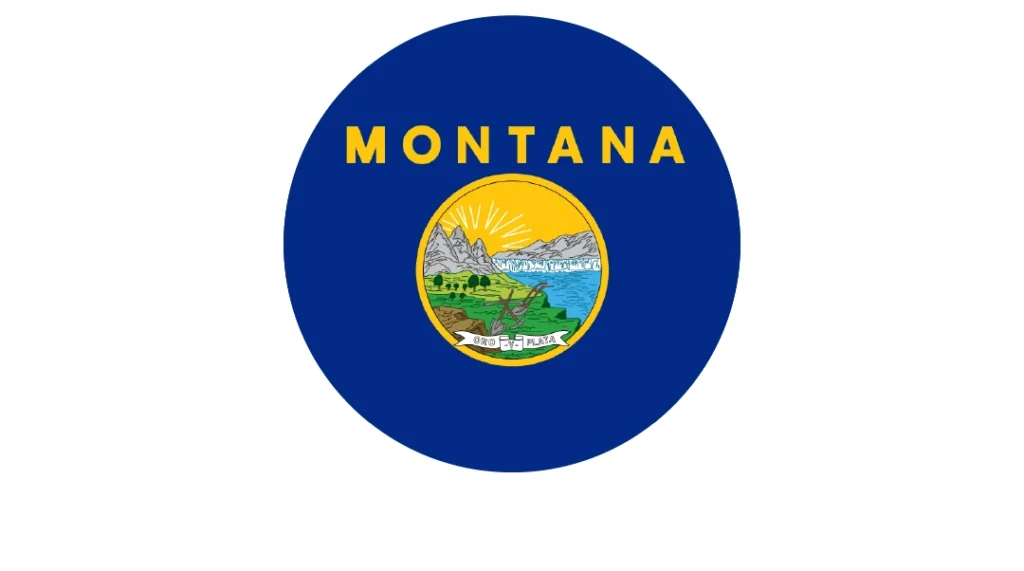 Medical Billing Services in Montana